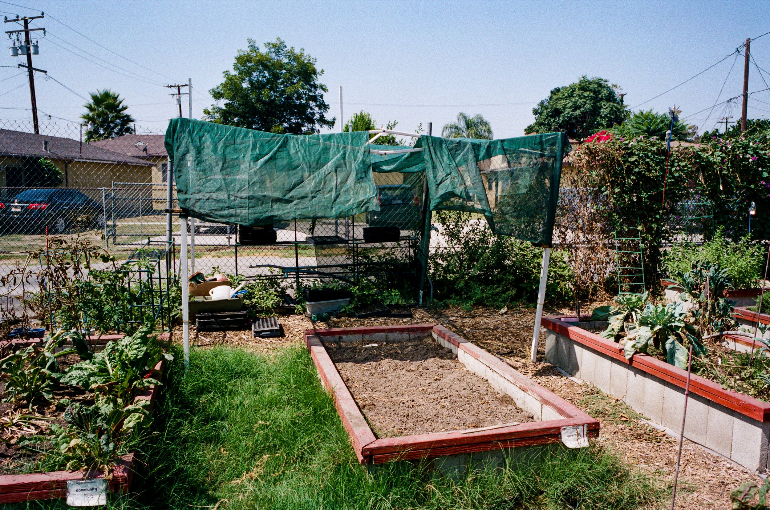 Compton community garden