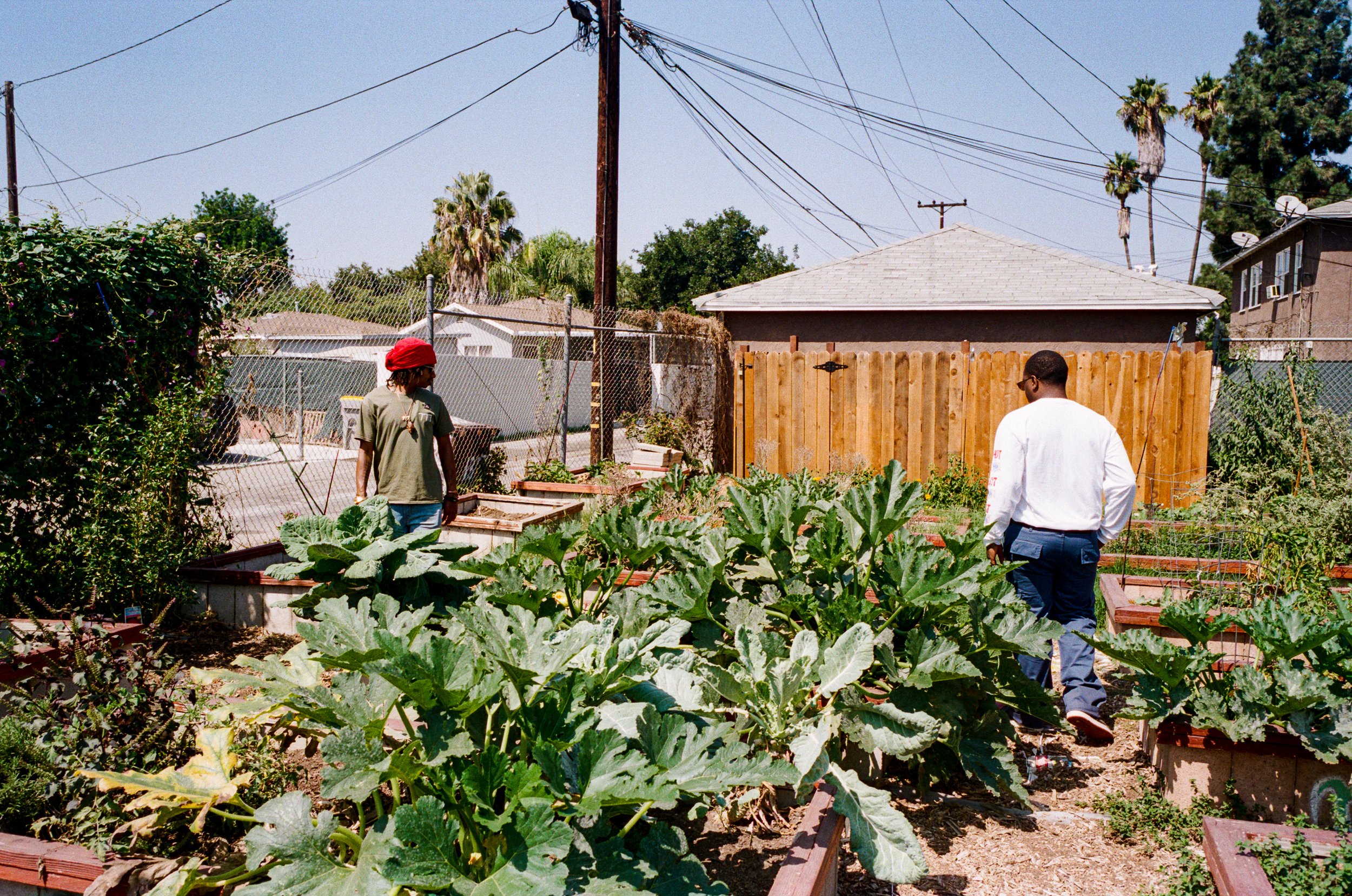 Two people walking through the garden.